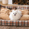 Classico Ploid Rimovibile Rimovibile Rimovibile Dog Cogning Led - Ritiro nostalgico