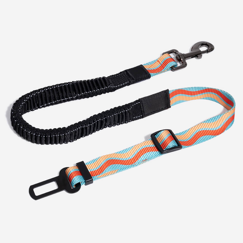 Accessori per cani colorati e regolabili, cintura di sicurezza per auto.