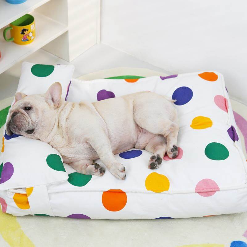 Letto per cani calmante con cuscino colorato e giocoso