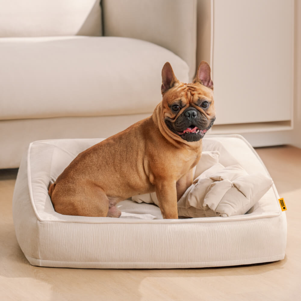 Letto per cani ortopedico di supporto con cuscini.