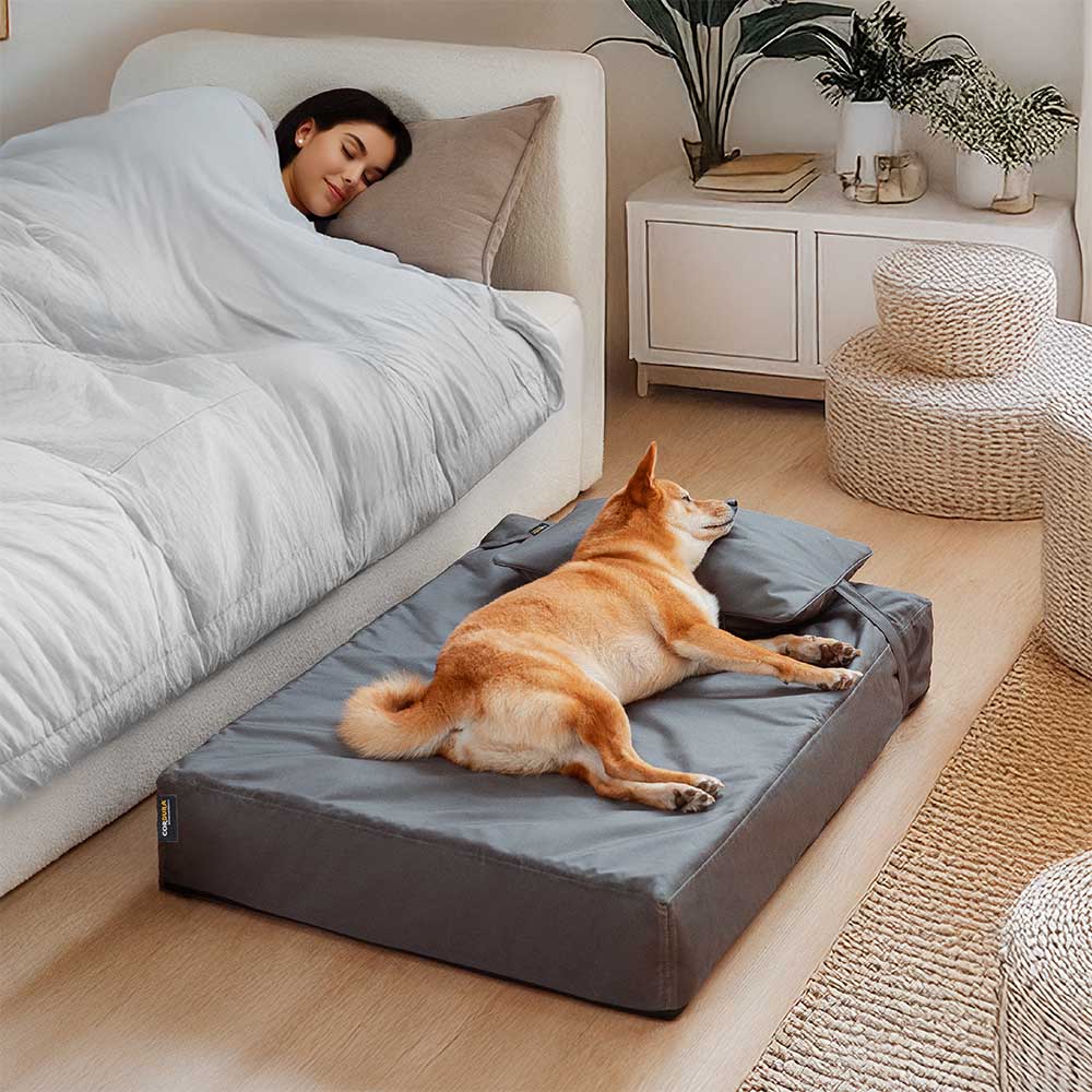 Copertura per letti per cani o set di cuscini impermeabile e anti-graffio CorduraTech - EverShield