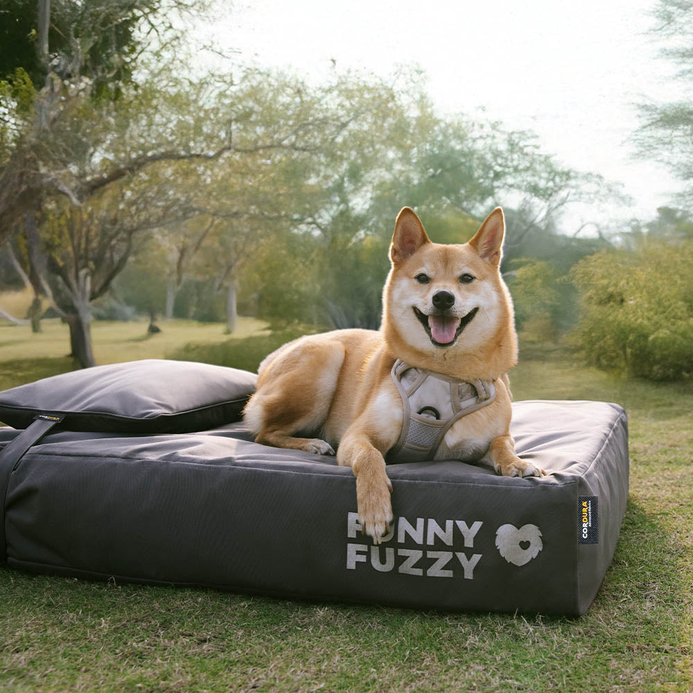 Copertura per letti per cani o set di cuscini impermeabile e anti-graffio CorduraTech - EverShield