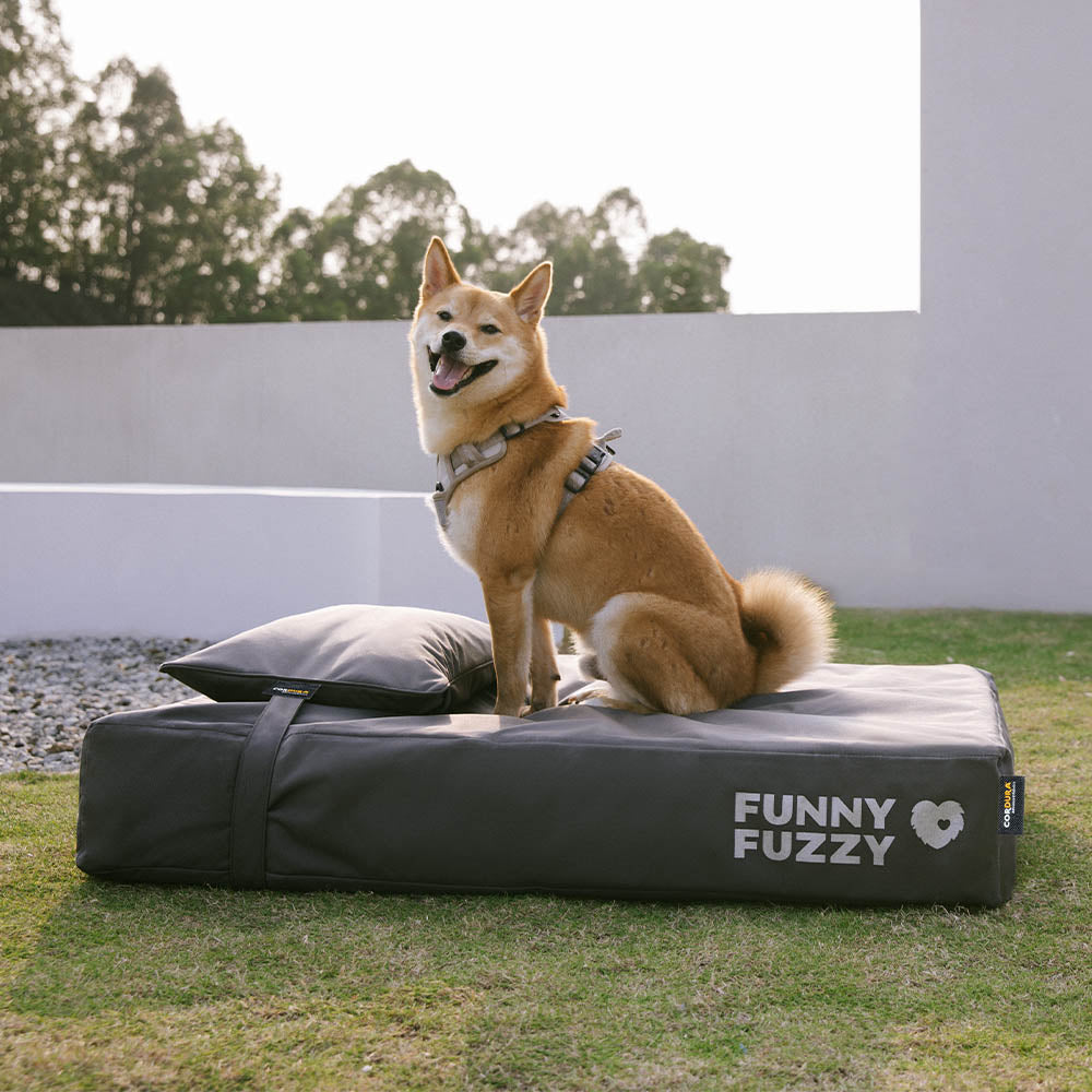 Copertura per letti per cani o set di cuscini impermeabile e anti-graffio CorduraTech - EverShield