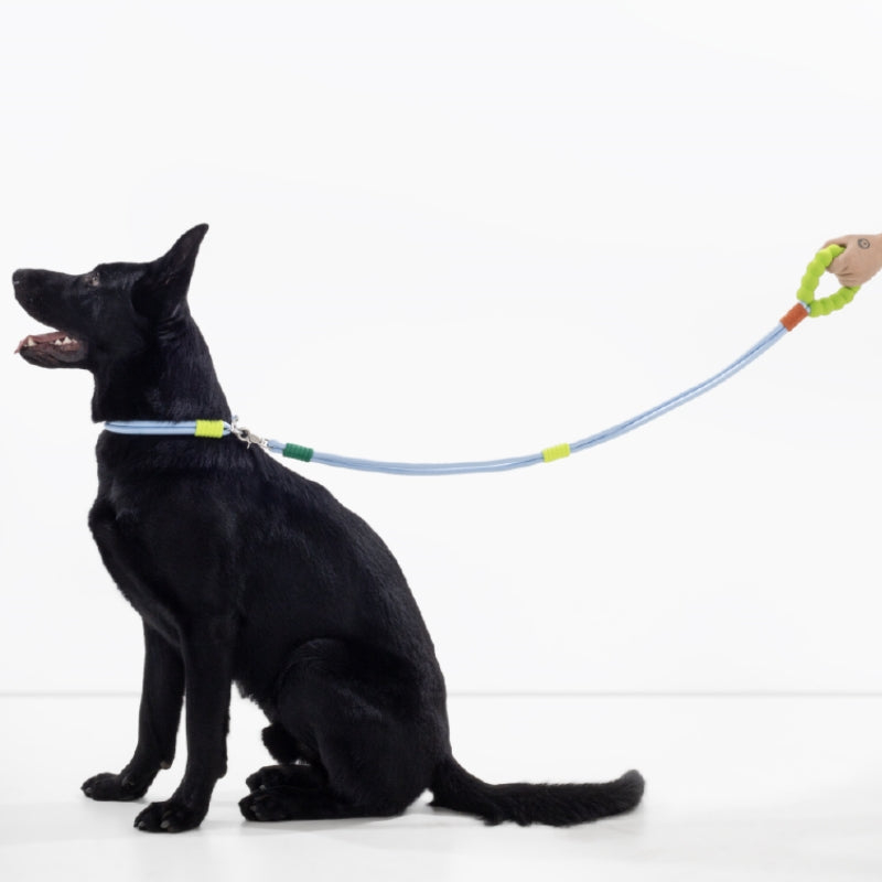 Guinzaglio da passeggio per cani intrecciato a doppia sezione Cotton Candy