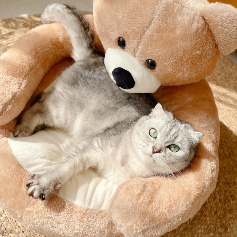 Grazioso lettino per gatti staccabile con orsetto coccolone