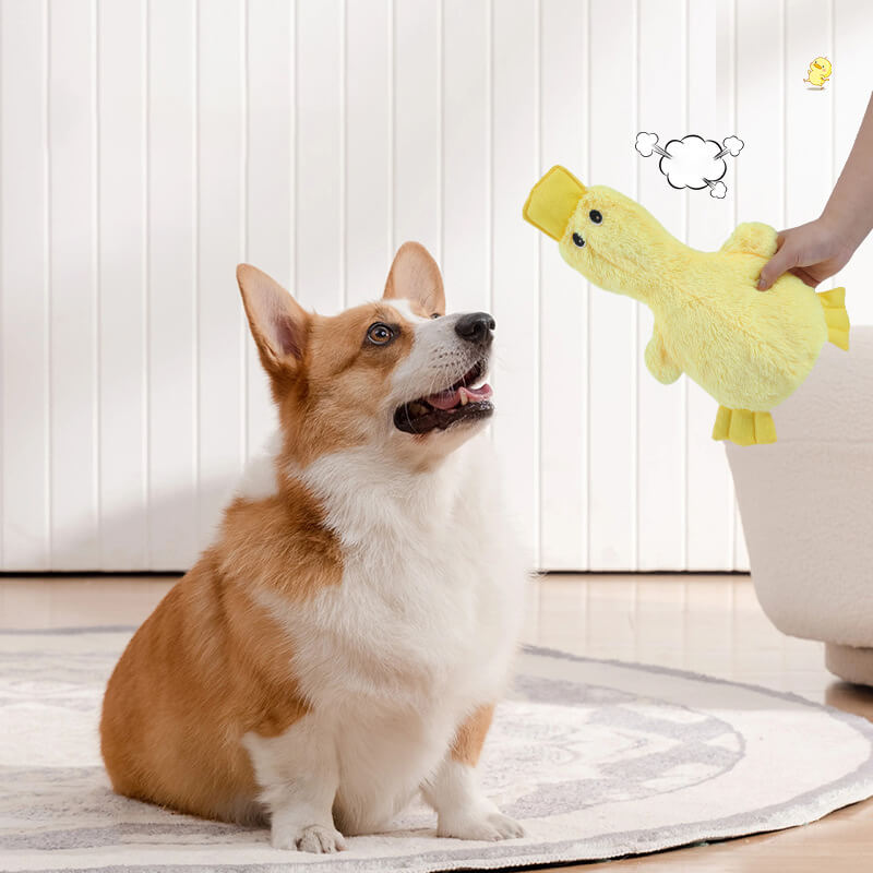 Set di Giochi Interattivi per Cani Carini - Divertimento Giocoso