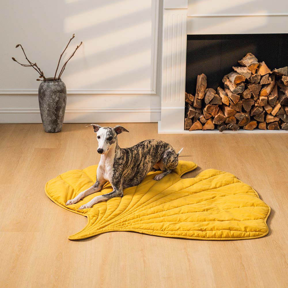 Coperta per cani a forma di foglia
