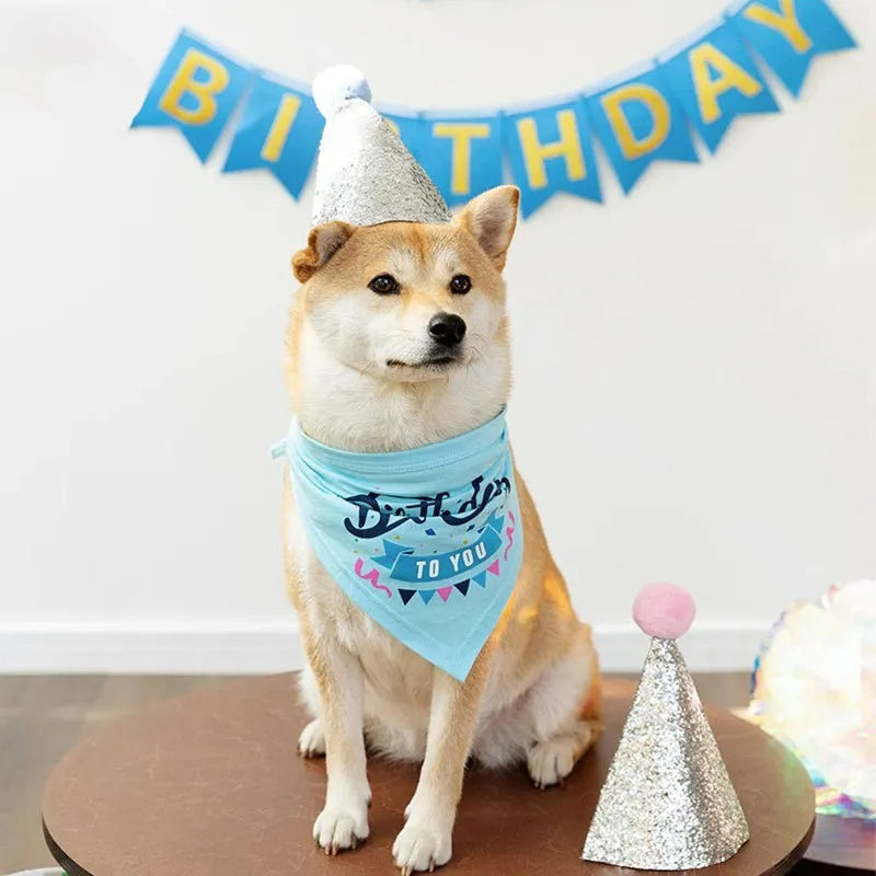 Sciarpa bandana compleanno cane con cappello e striscione Set festa compleanno cane