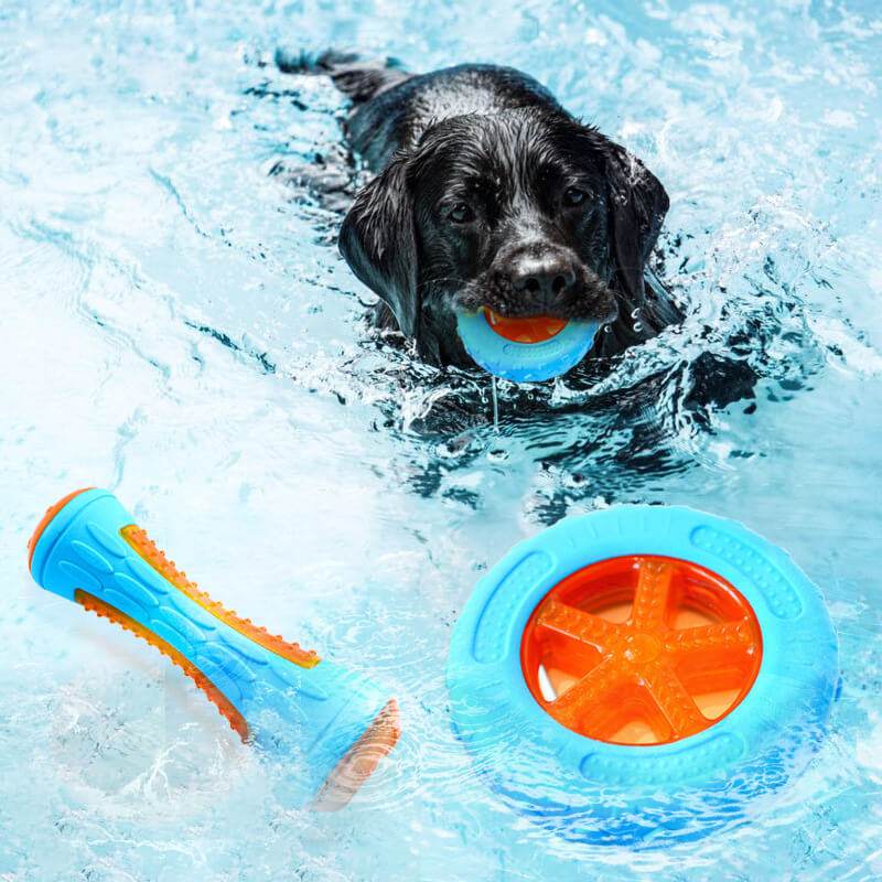 Gioco interattivo da masticare per cani, giocattolo galleggiante da esterno.