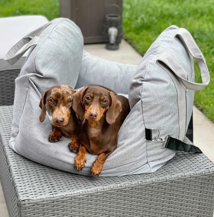 Accessori per seggiolino auto per cani con cinghie regolabili multifunzione