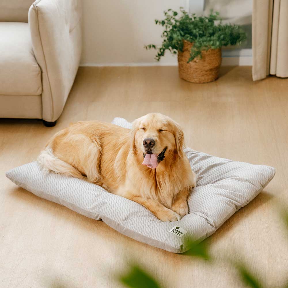 Tappetini per cani lavabili in peluche morbido e confortevole, a doppio lato, per calmare.