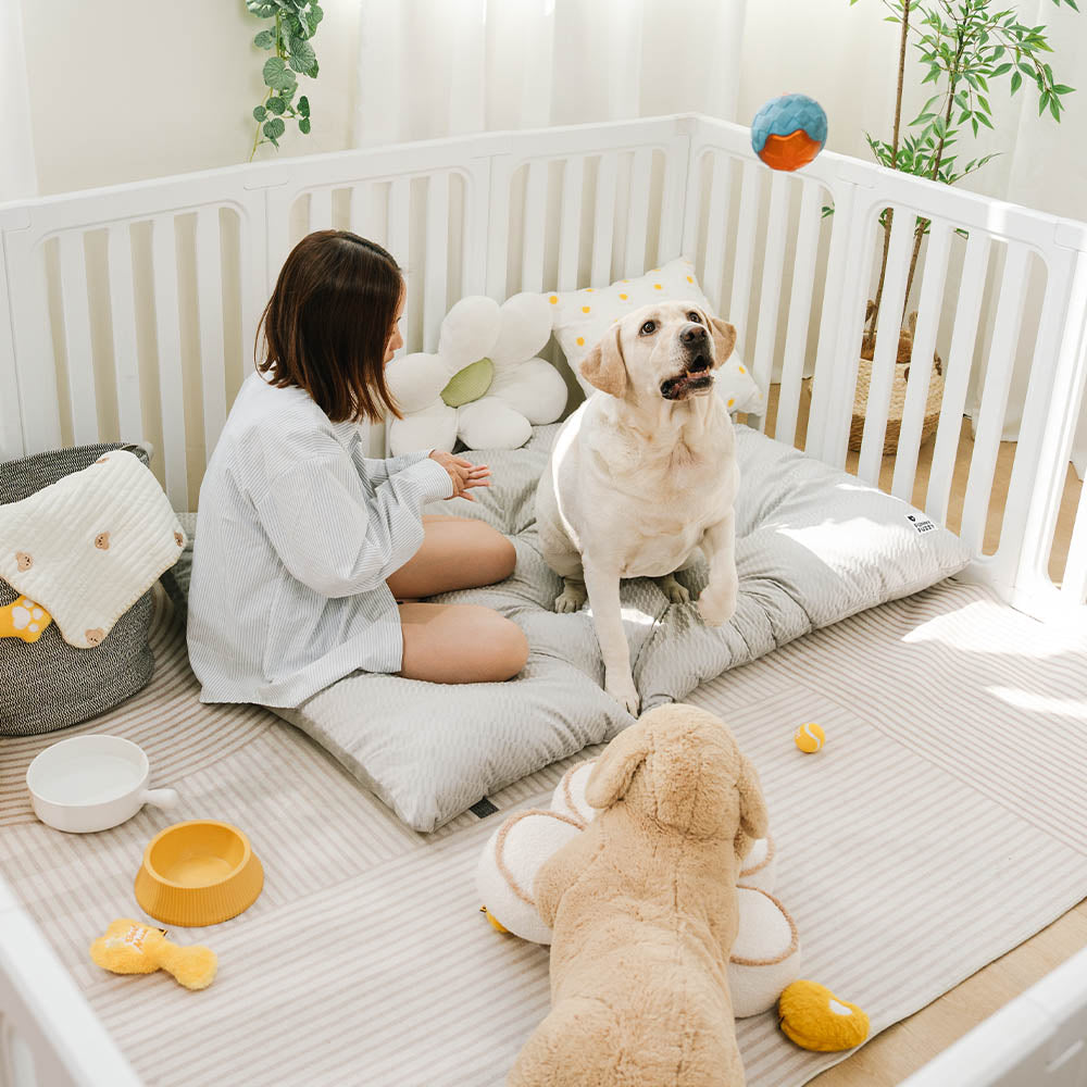 Tappetini per cani lavabili in peluche morbido e confortevole, a doppio lato, per calmare.