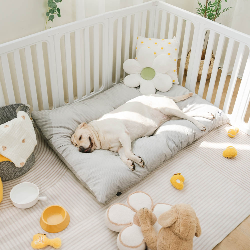 Tappetini per cani lavabili in peluche morbido e confortevole, a doppio lato, per calmare.