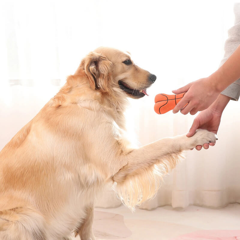 Giocattolo per cani durevole a forma di osso che squeaka