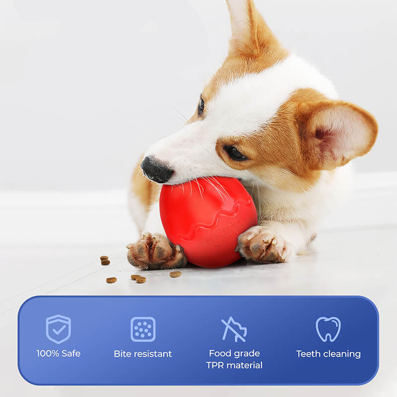 Giocattoli da masticare per cani con alimentatore lento a forma di uovo Giocattoli interattivi per cani