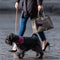 Porte-sac à crottes de chien élégant en cuir PU