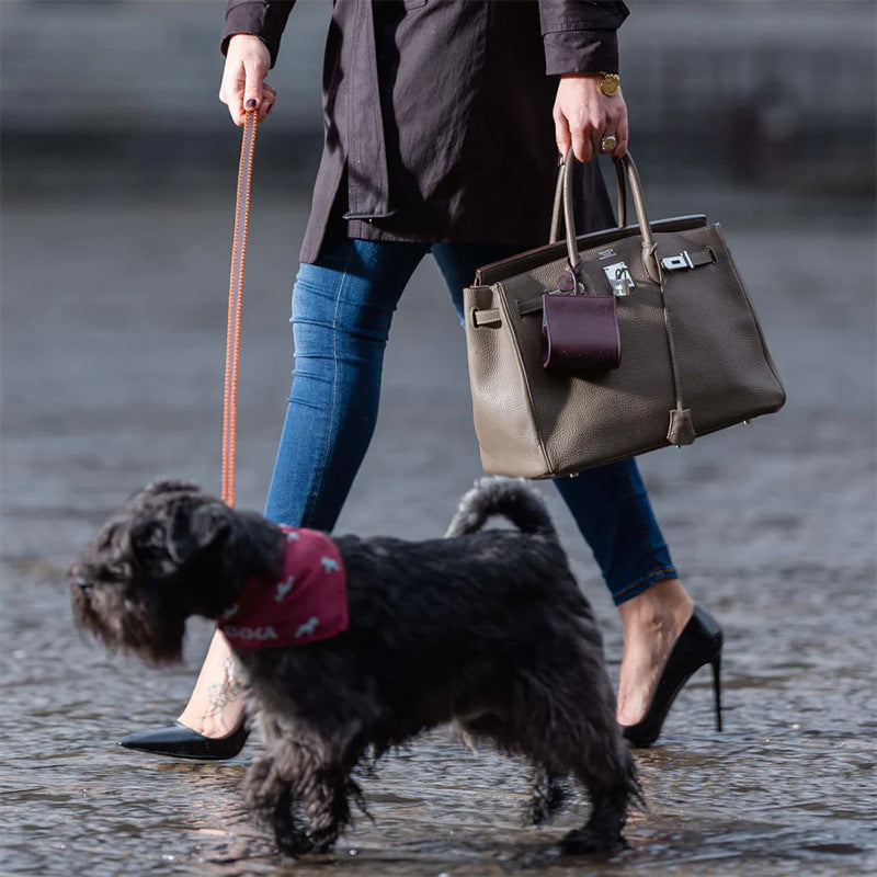 Porte-sac à crottes de chien élégant en cuir PU