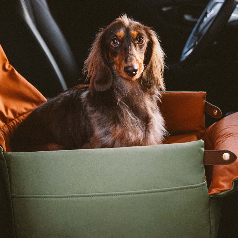 Seggiolino per cani elevato in ecopelle deluxe - Urban Voyager