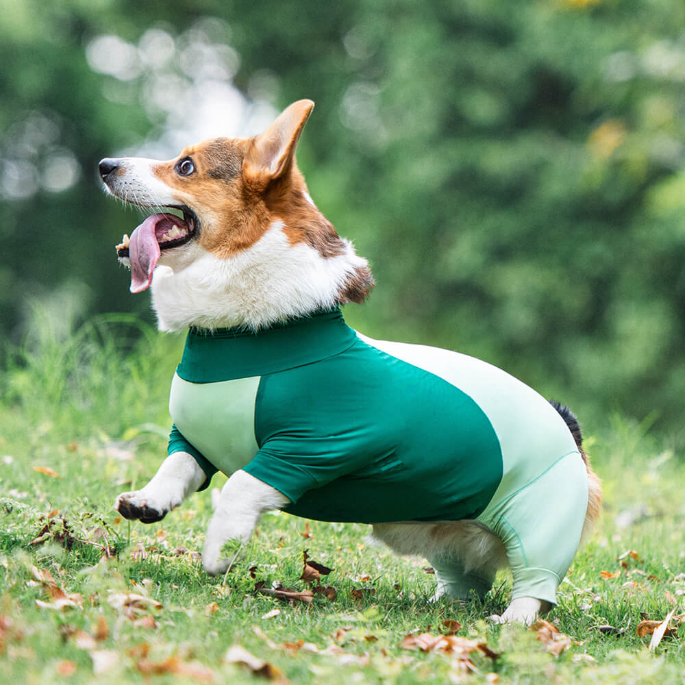 Extra großer Stretch-Sonnenschutz-Einteiler für Hunde, kühlende Hundekleidung