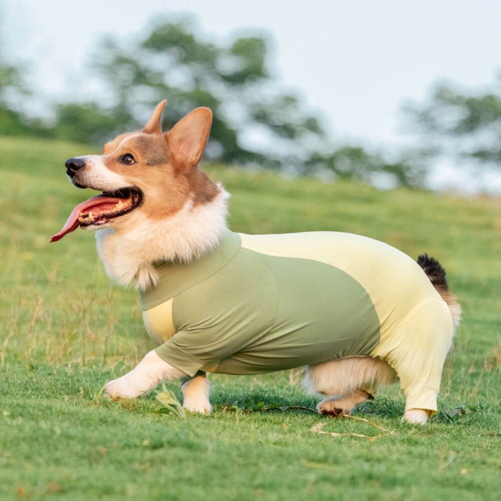 Tutina rinfrescante per cani con protezione solare elasticizzata extra large