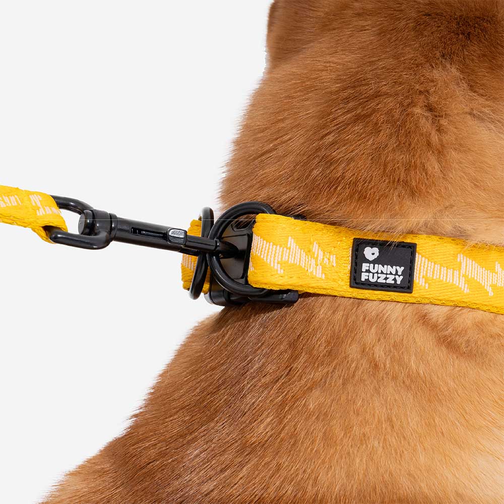 COLLARE PER CANI REGOLABILE IN NYLON DURATURO FUNNYFUZZY - FLEXI WALKER