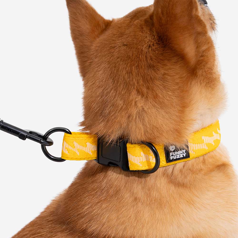 COLLARE PER CANI REGOLABILE IN NYLON DURATURO FUNNYFUZZY - FLEXI WALKER