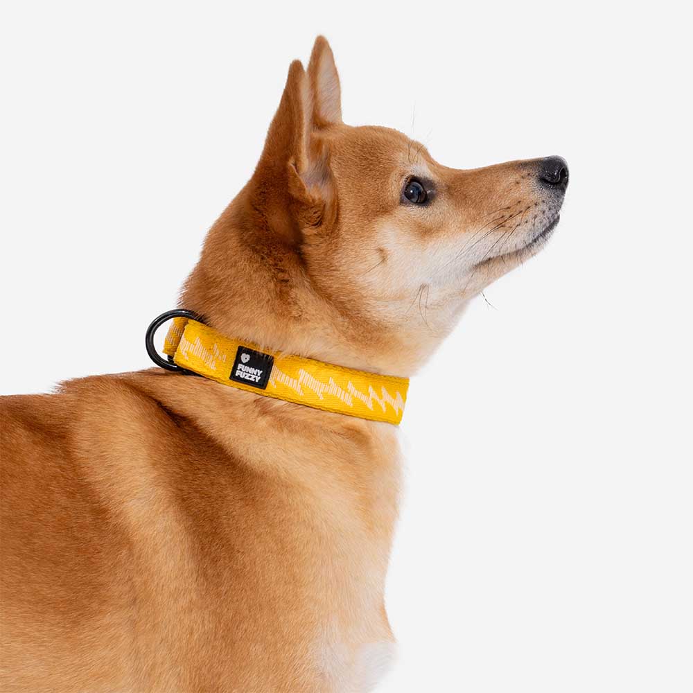 COLLARE PER CANI REGOLABILE IN NYLON DURATURO FUNNYFUZZY - FLEXI WALKER