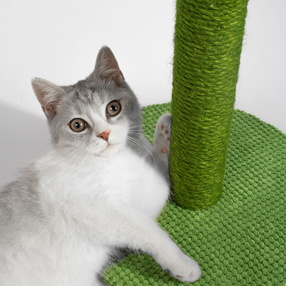 Cactus Design Sisal Durable Cat Scratching Post