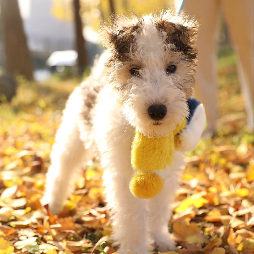 Collare per sciarpa per cani e gatti durevole in morbido peluche colorblock