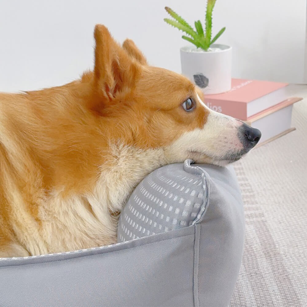 Divano letto per cani soffice, traspirante, rinfrescante e lavabile