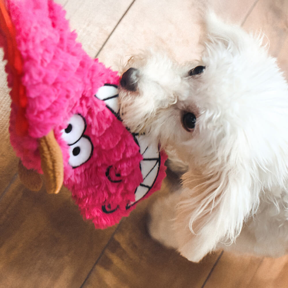 Giocattolo interattivo per cani a forma di drago arricciato – Giocattolo da masticare e tirare con squittio