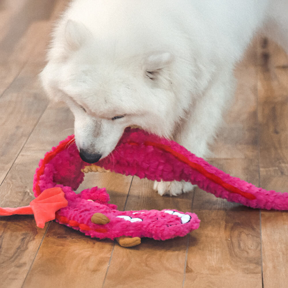 Giocattolo interattivo per cani a forma di drago arricciato – Giocattolo da masticare e tirare con squittio