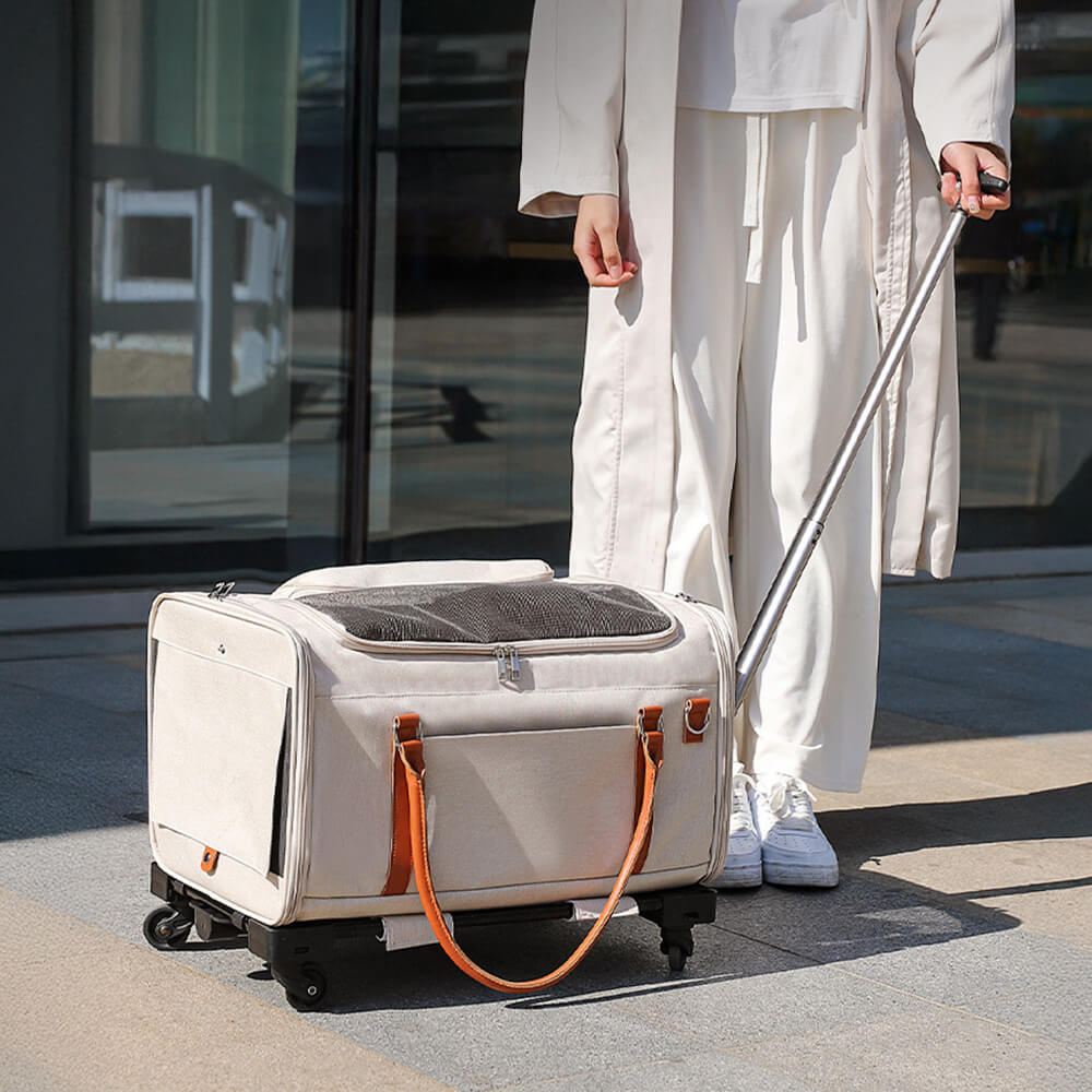 Trolley Multifunzionale 2 in 1 Staccabile Con Ruote Borsa Portatile Per Animali Domestici