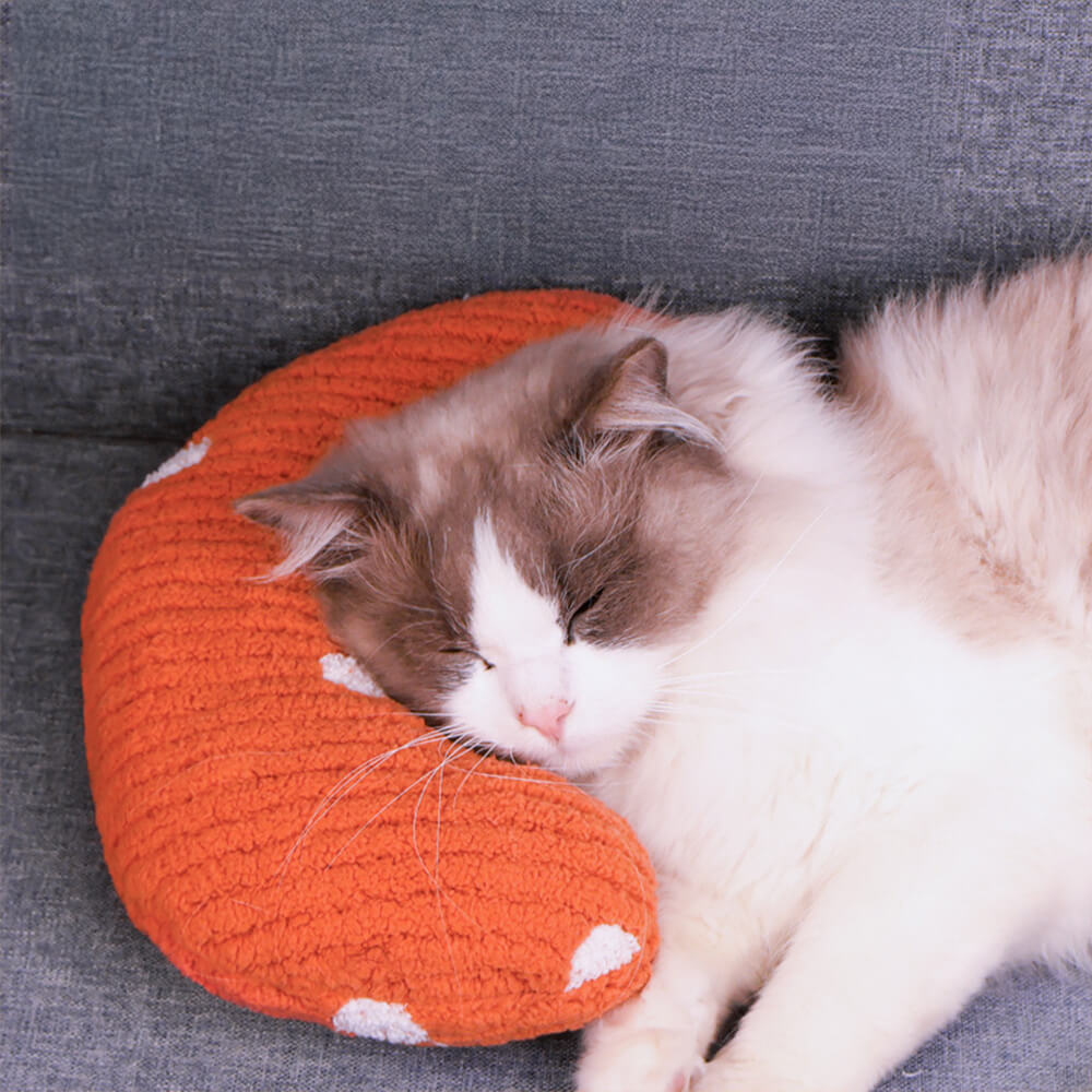 Oreiller douillet en peluche polaire à pois pour chat et petit chien