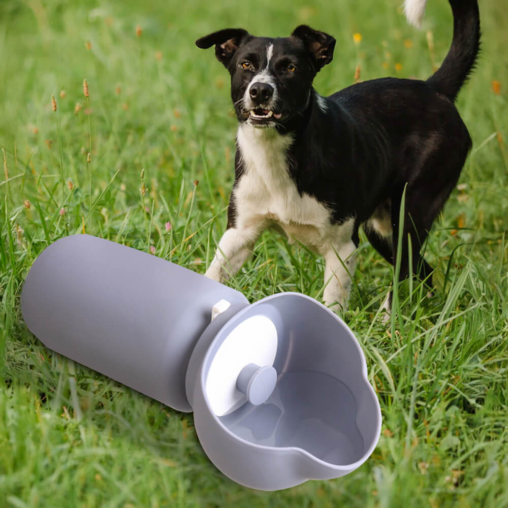 Bottiglia d'acqua per animali domestici in silicone morbido, pieghevole, portatile e sigillata per esterni.