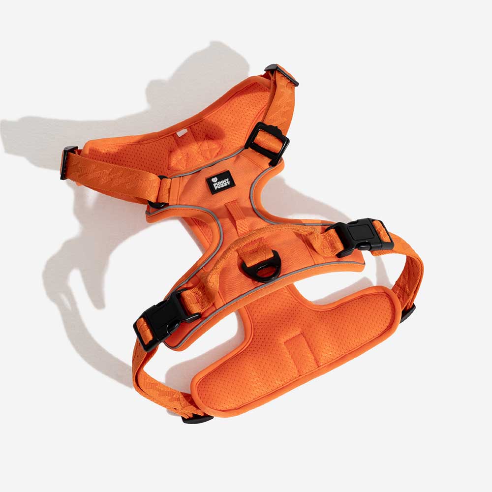 FUNNYFUZZY Imbracatura Riflettente Regolabile per Cani da Esterno - Flexi Walker