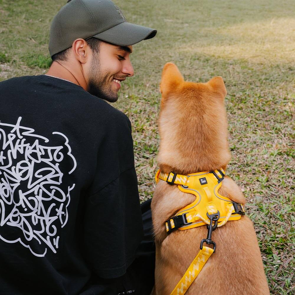 FUNNYFUZZY Imbracatura Riflettente Regolabile per Cani da Esterno - Flexi Walker