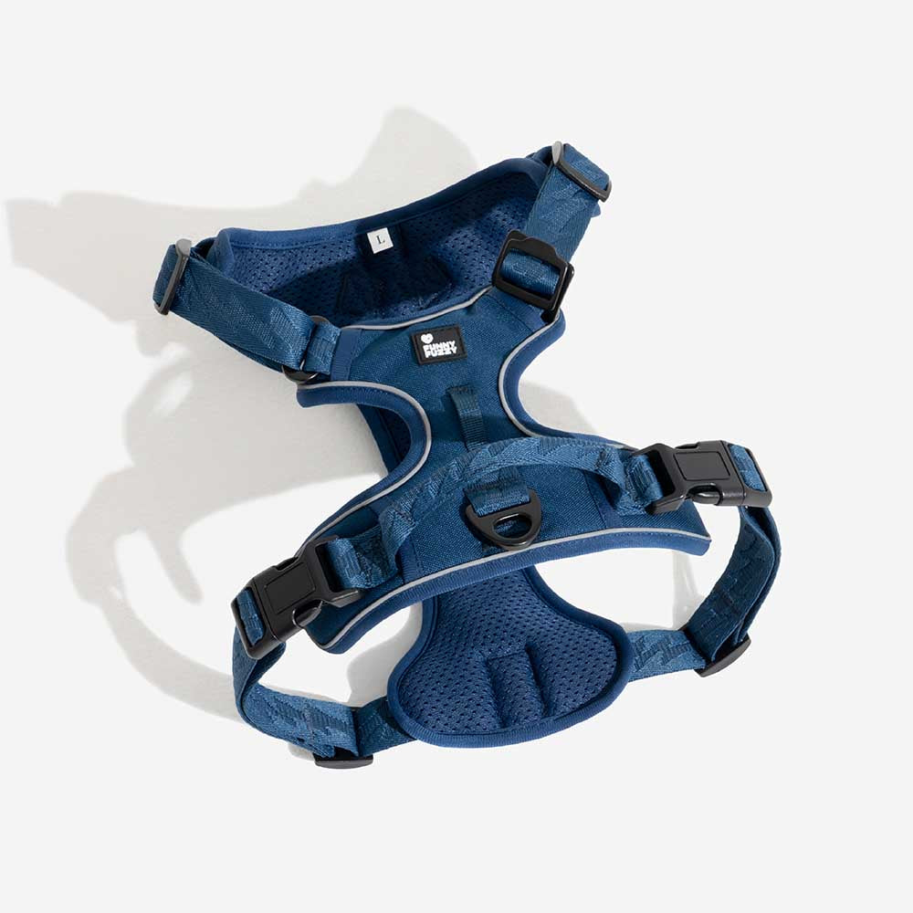 FUNNYFUZZY Imbracatura Riflettente Regolabile per Cani da Esterno - Flexi Walker