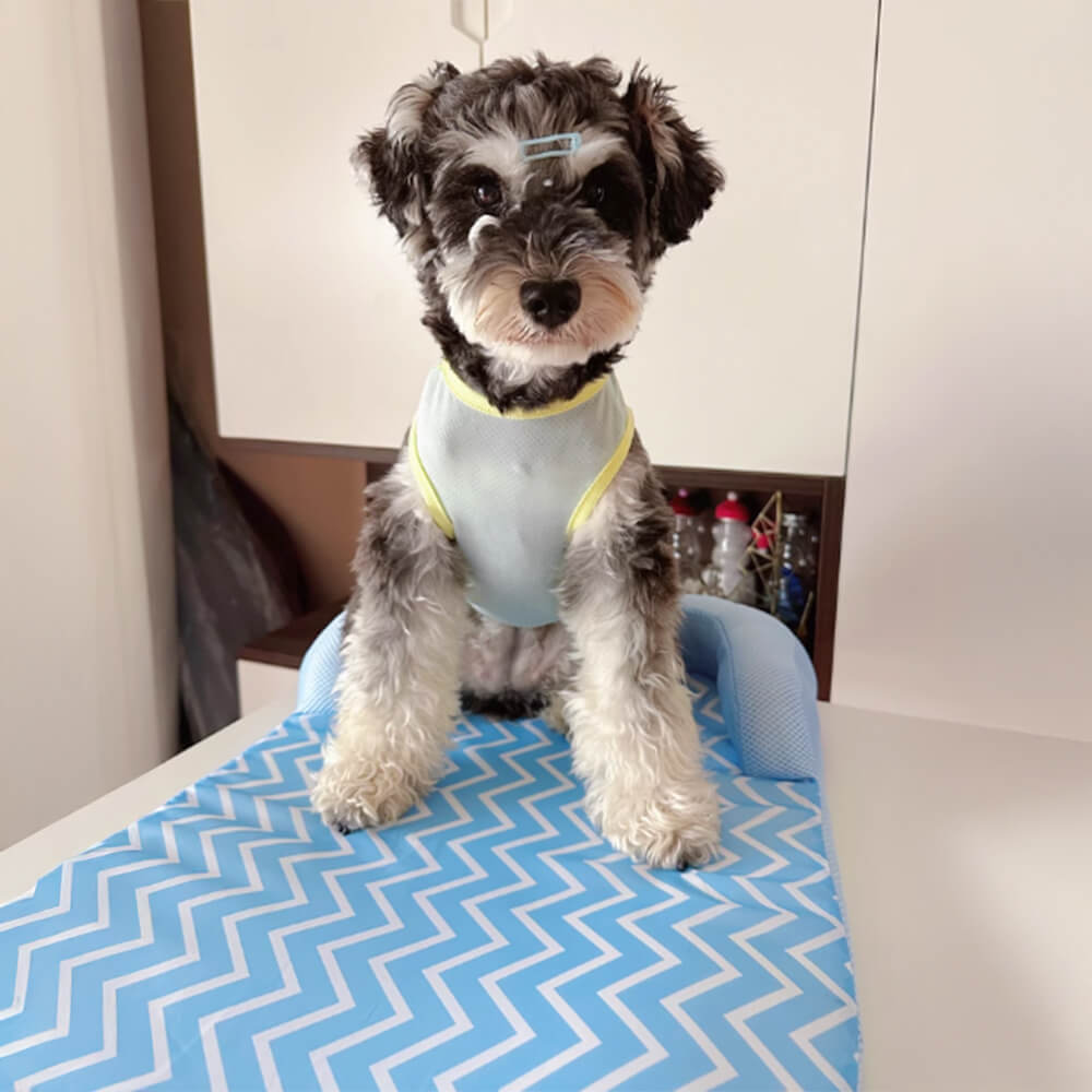 Letto per cani con supporto per il collo, resistente ai graffi, impermeabile e traspirante