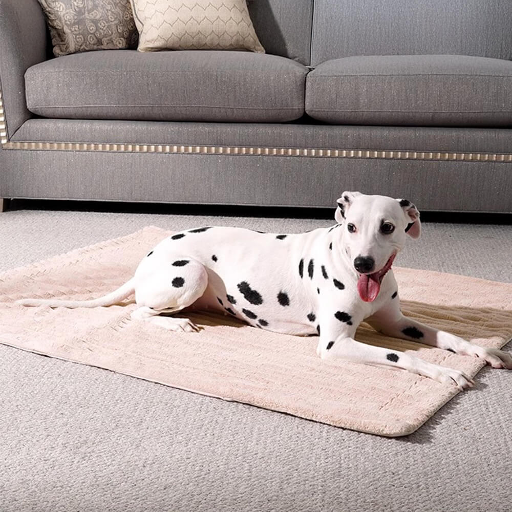 Plaid per animali caldo, resistente all'acqua e a righe per uso multiplo in tutte le stagioni