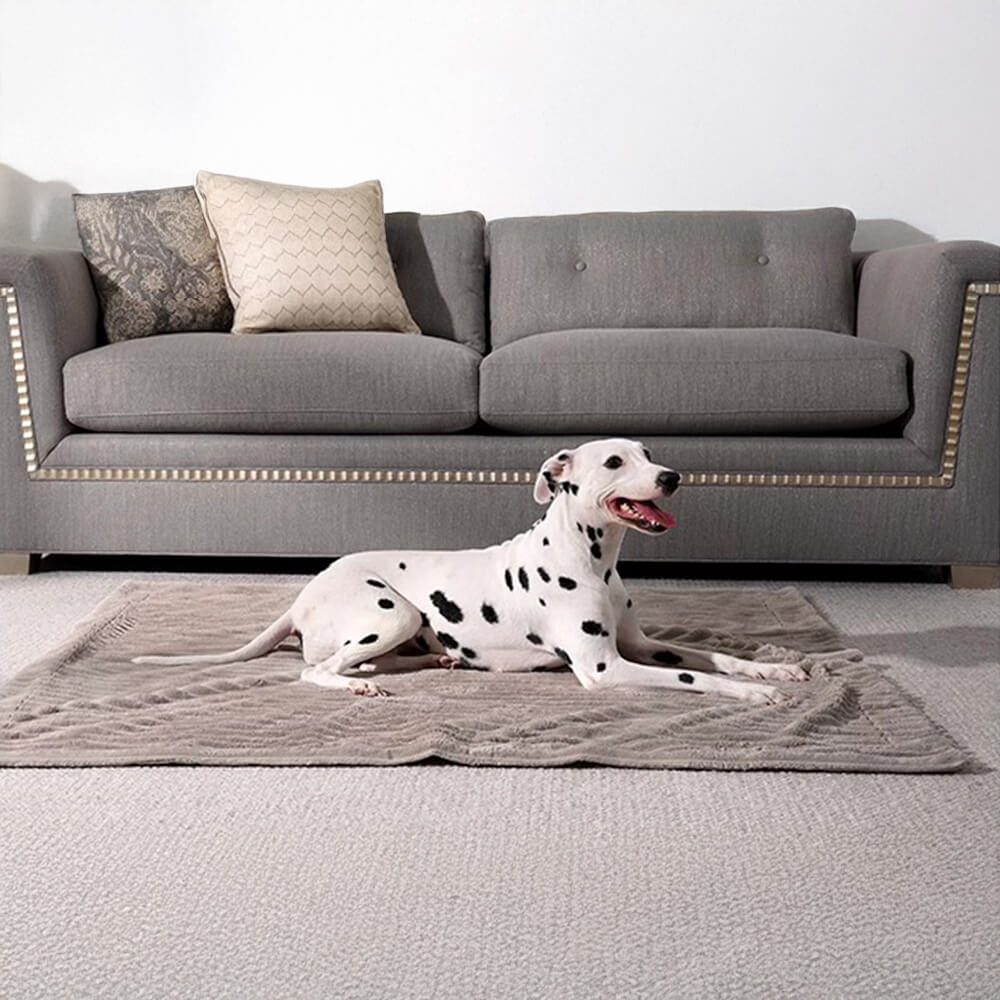 Plaid per animali caldo, resistente all'acqua e a righe per uso multiplo in tutte le stagioni