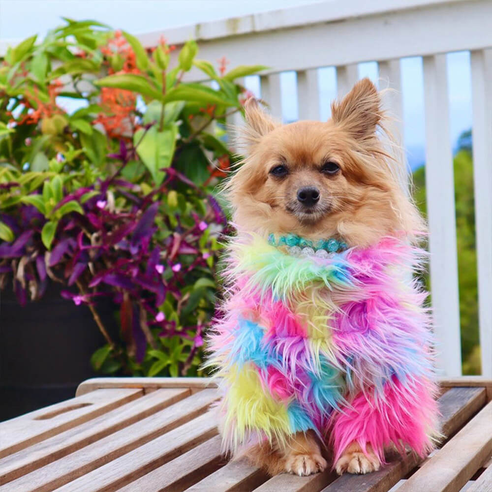 Stilvoller, farbenfroher, flauschiger Regenbogen-Hundemantel aus Kunstfell