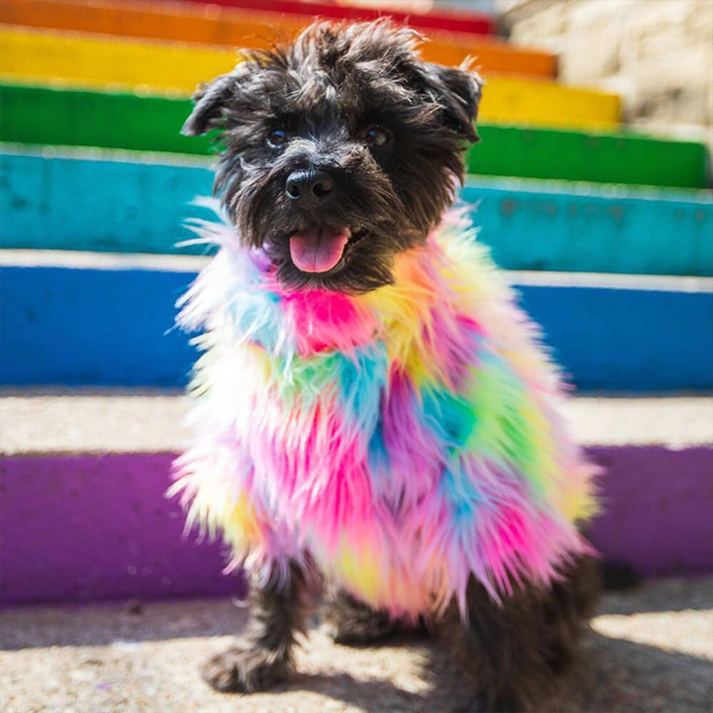 Stilvoller, farbenfroher, flauschiger Regenbogen-Hundemantel aus Kunstfell