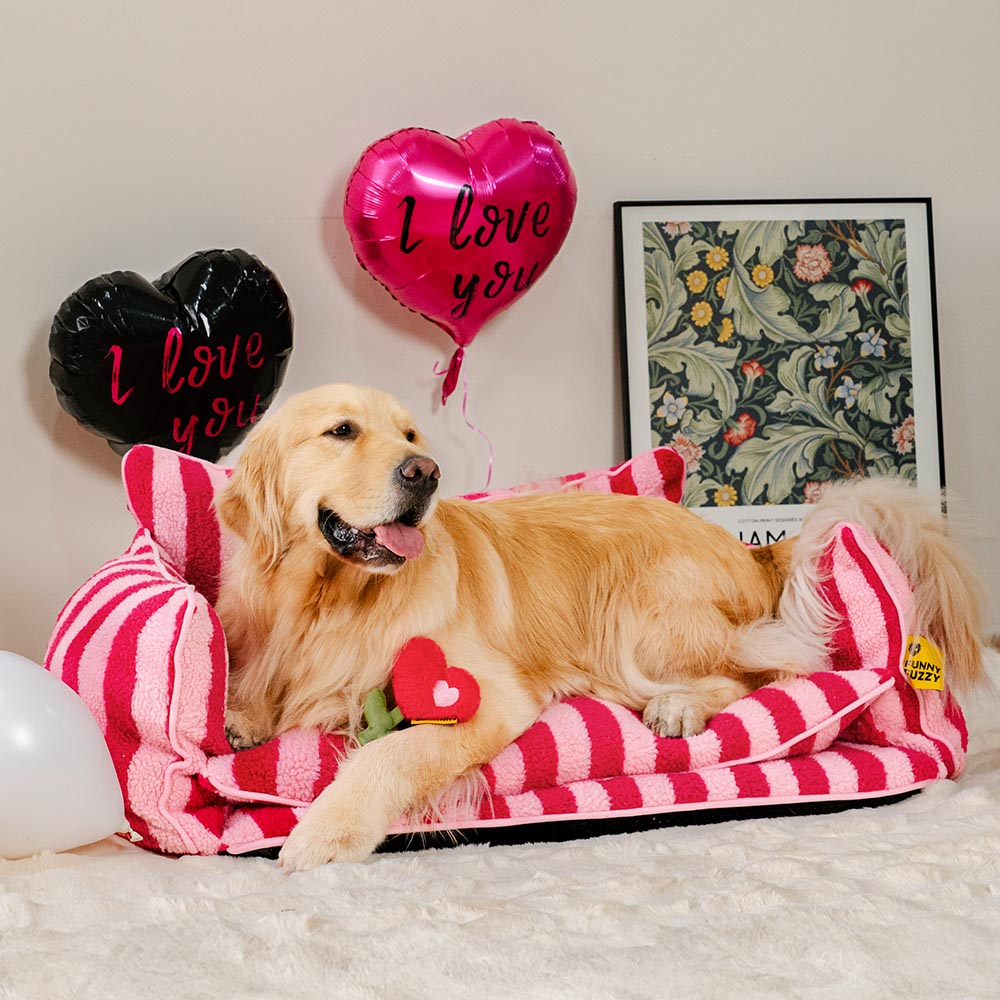 FUNNYFUZZY Valentine's Day Rose Plush Squeaky Dog Toy