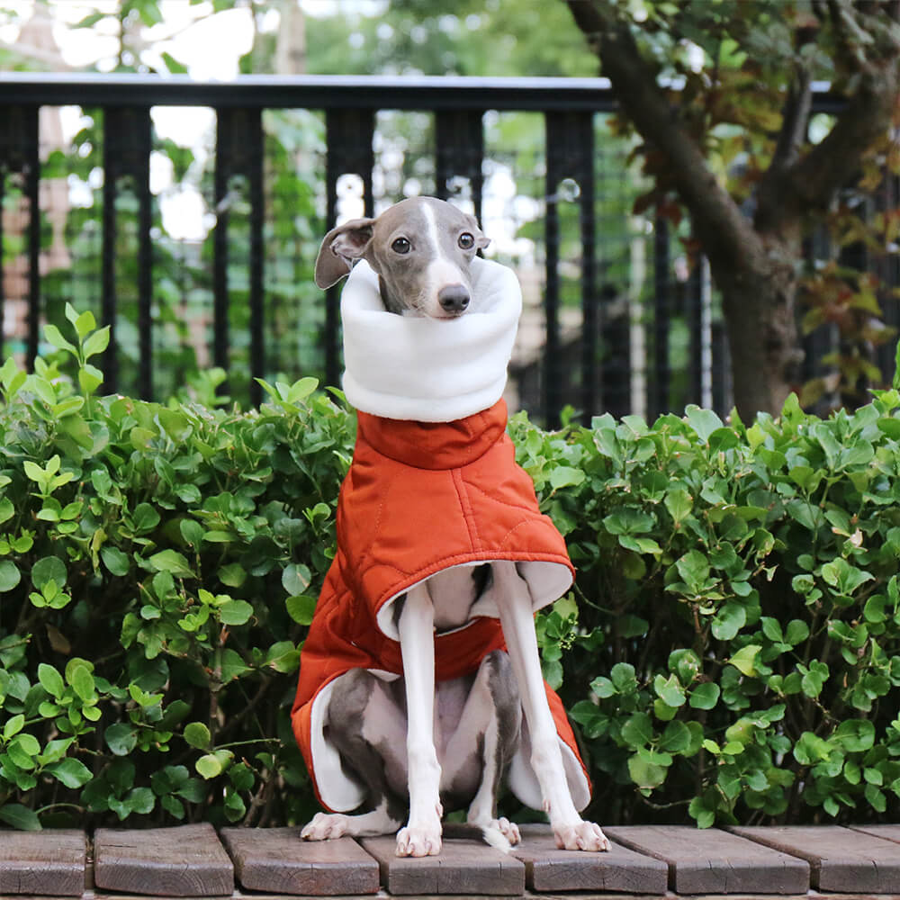 Veste chaude et imperméable matelassée pour chien à col roulé