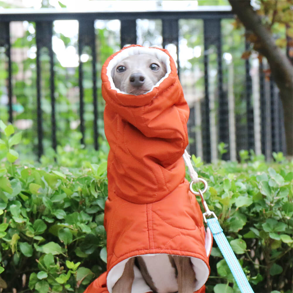 Warme, wasserdichte, gesteppte Rollkragen-Hundejacke