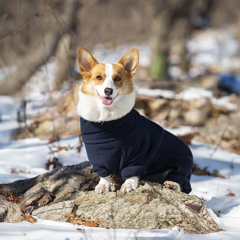 Winddichter Ganzkörper-Wärme-Rollkragenpullover aus Polarfleece für Hunde