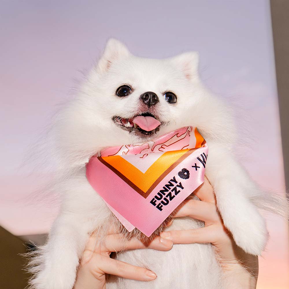 FUNNYFUZZY X Klarna Scarf per animali e umani