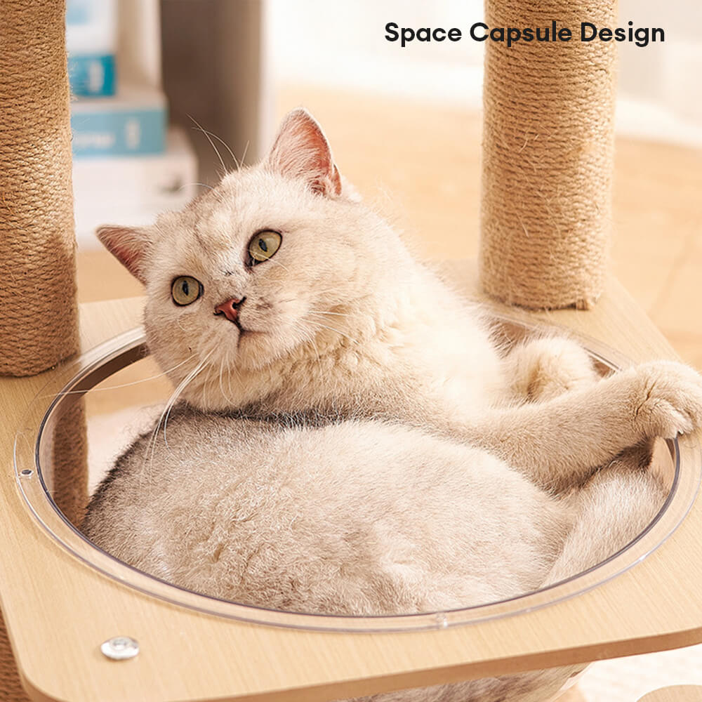 Albero per gatti a cinque livelli con capsula spaziale e pali graffianti resistenti all'usura