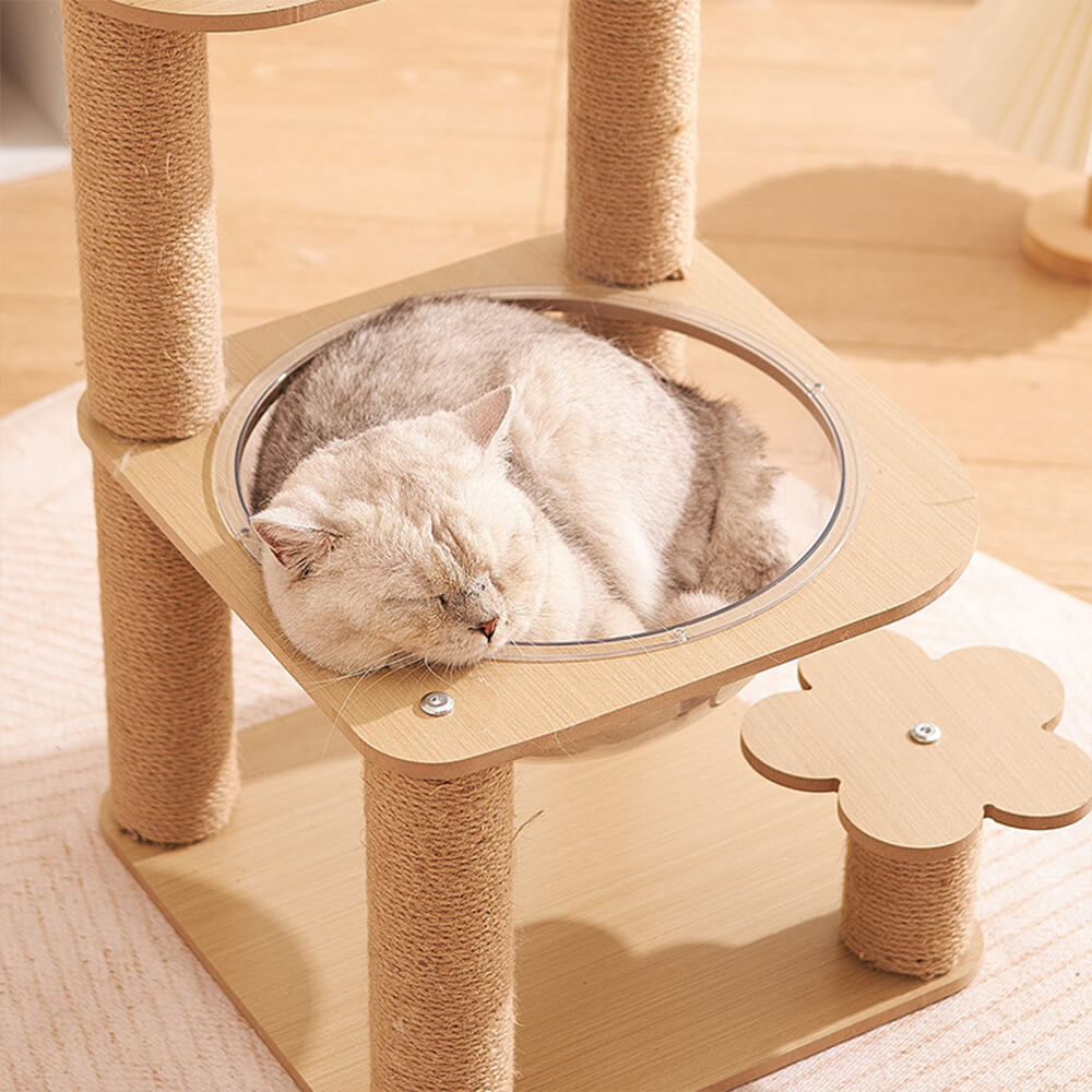 Albero per gatti a cinque livelli con capsula spaziale e pali graffianti resistenti all'usura